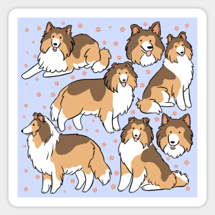 Rough collie illustration Sticker